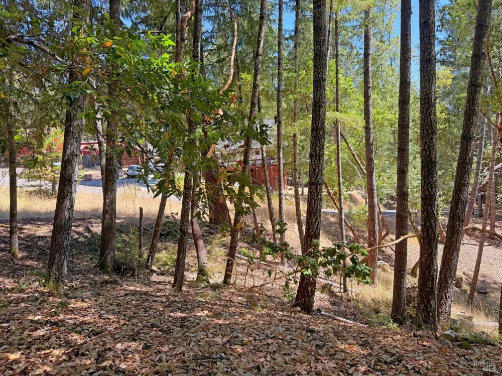 26006 Peacock Road Willits, CA 95490