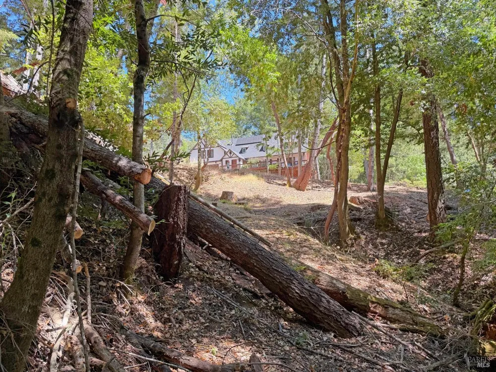 26006 Peacock Road Willits, CA 95490