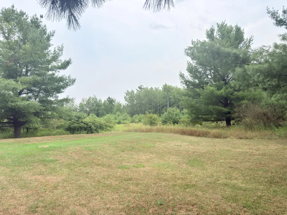 9463 Big Stone Lake Road Evart Township, MI 49631