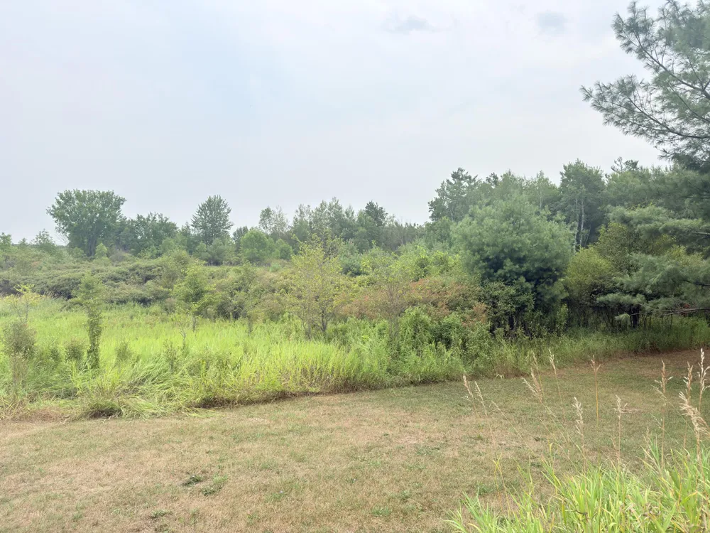 9463 Big Stone Lake Road Evart Township, MI 49631