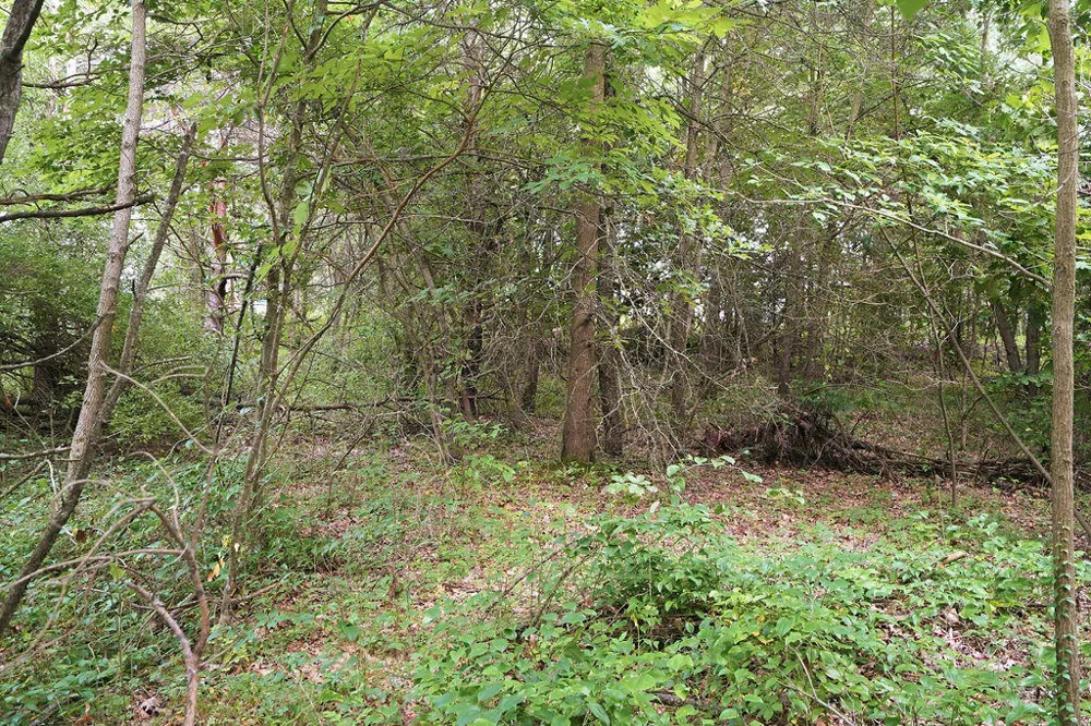 919 Armintrout Ridge Court Cheshire Township, MI 49010