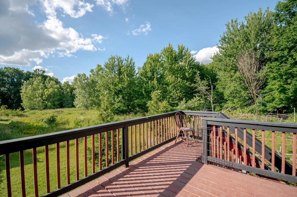 2574 Winterberry Street Delhi Charter Township, MI 48842