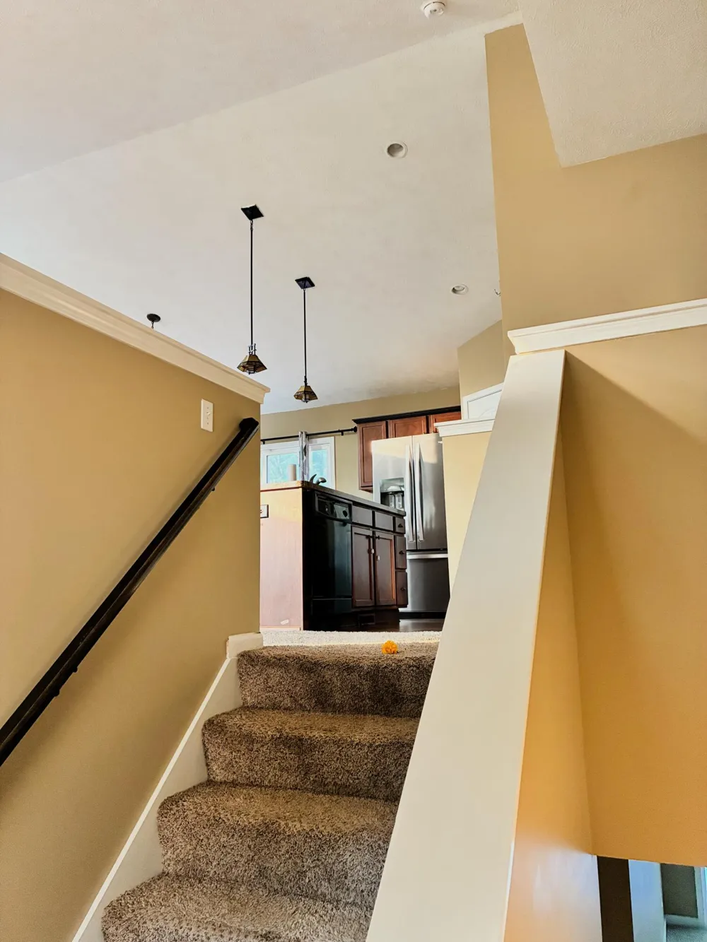 2574 Winterberry Street Delhi Charter Township, MI 48842
