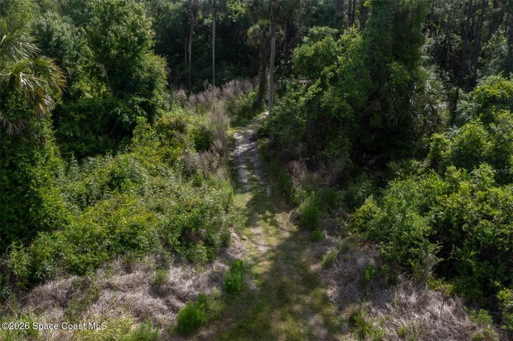 1851 Maytown Road Oak Hill, FL 32759