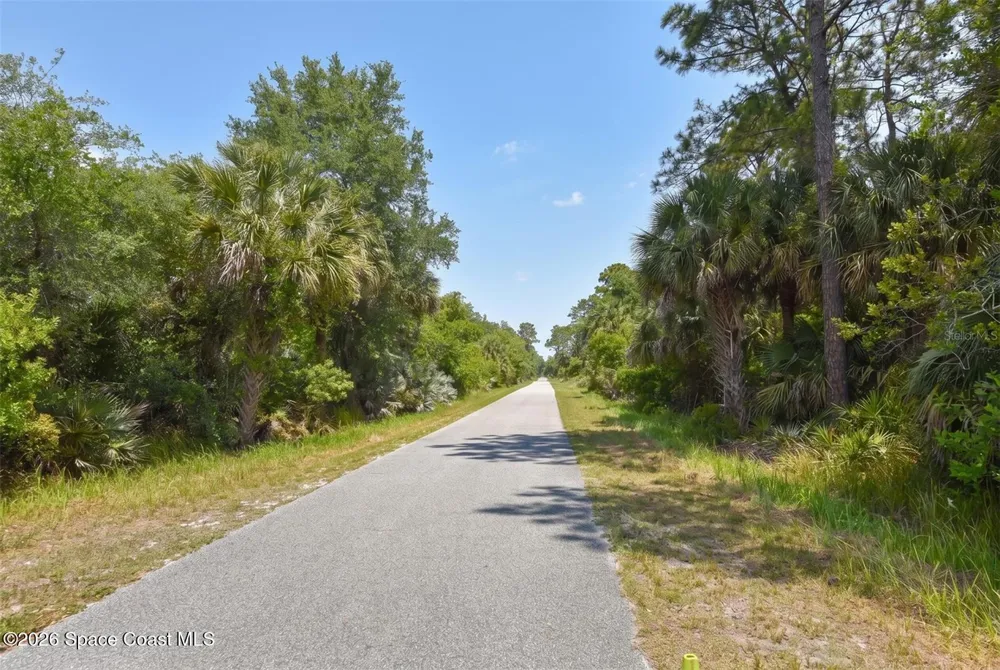 1851 Maytown Road Oak Hill, FL 32759