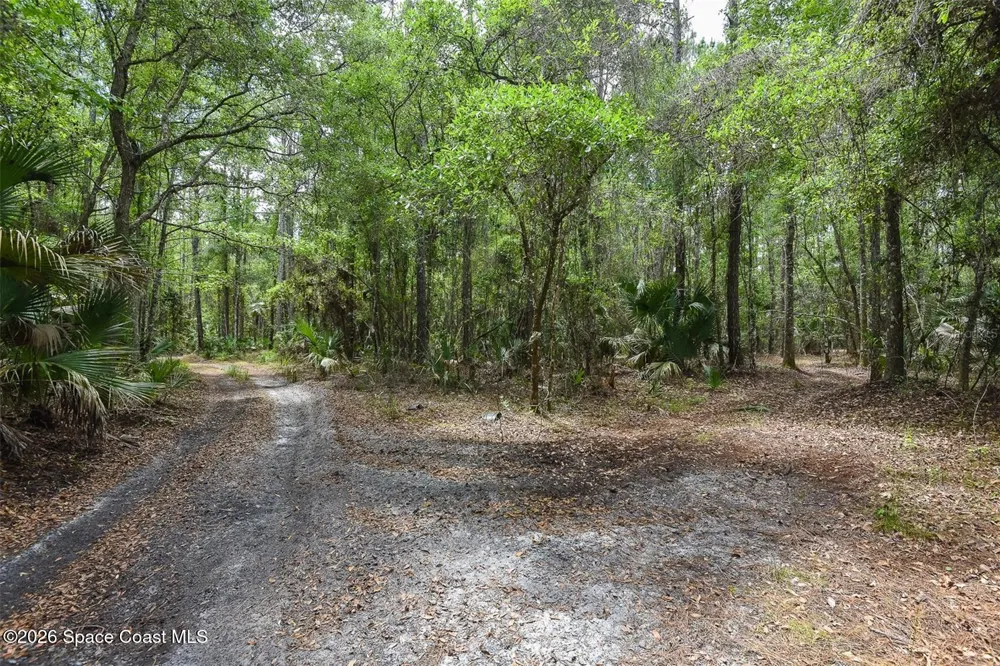 1851 Maytown Road Oak Hill, FL 32759