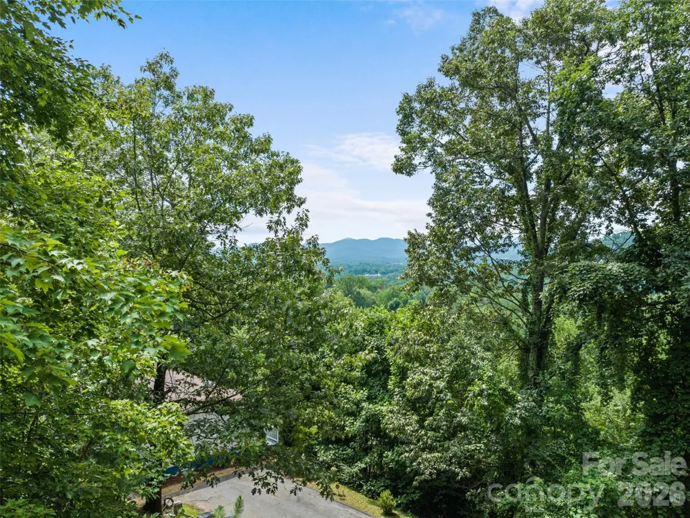 180 Hidden Meadow Drive Candler, NC 28715