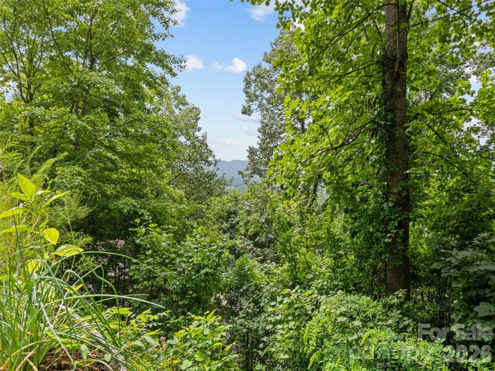 180 Hidden Meadow Drive Candler, NC 28715