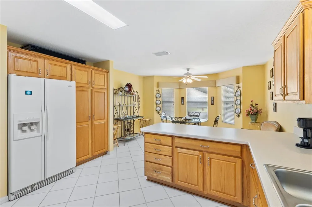 9199 SE 171ST COOPER LOOP The Villages, FL 32162