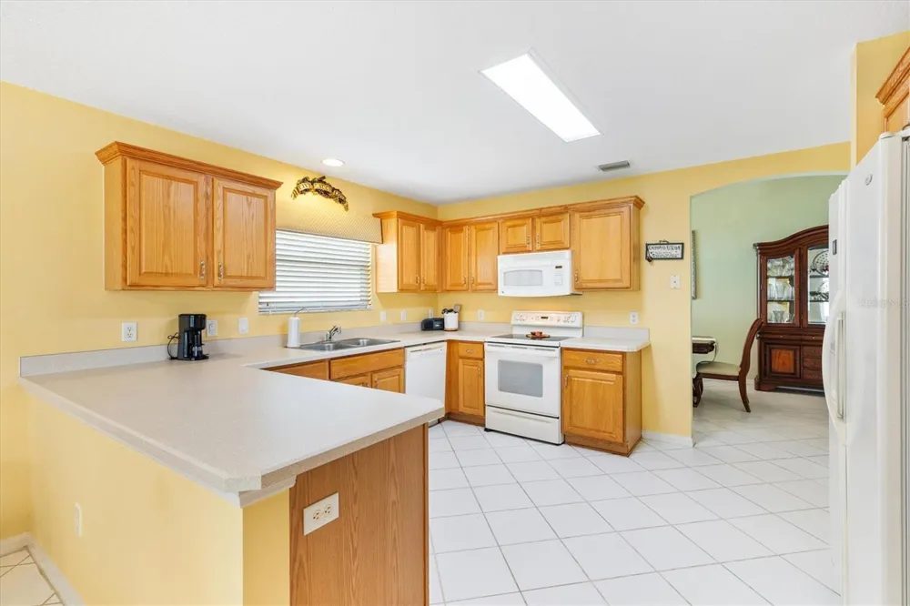 9199 SE 171ST COOPER LOOP The Villages, FL 32162