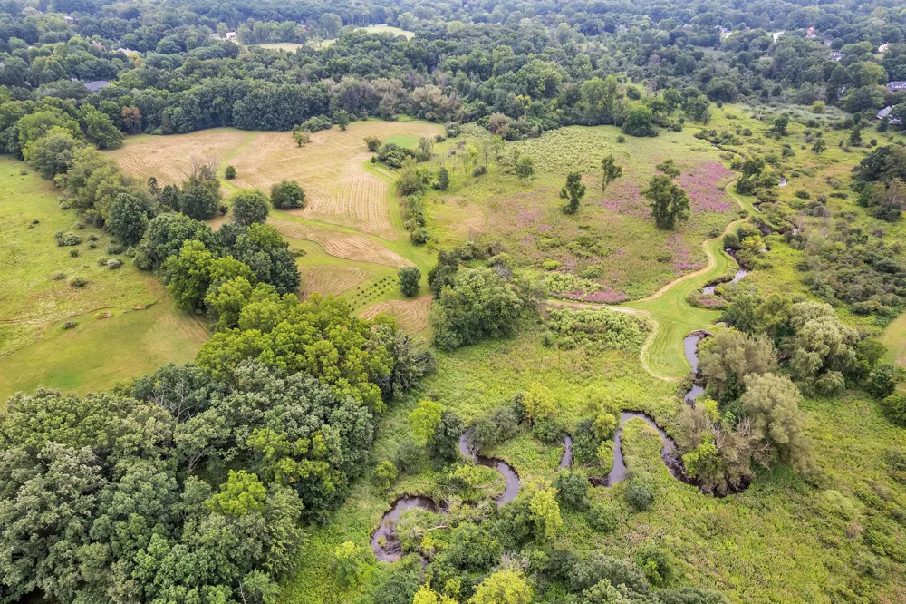 Pine Ridge Court Ann Arbor, MI 48103