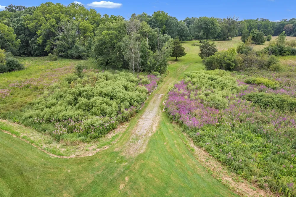 Pine Ridge Court Ann Arbor, MI 48103