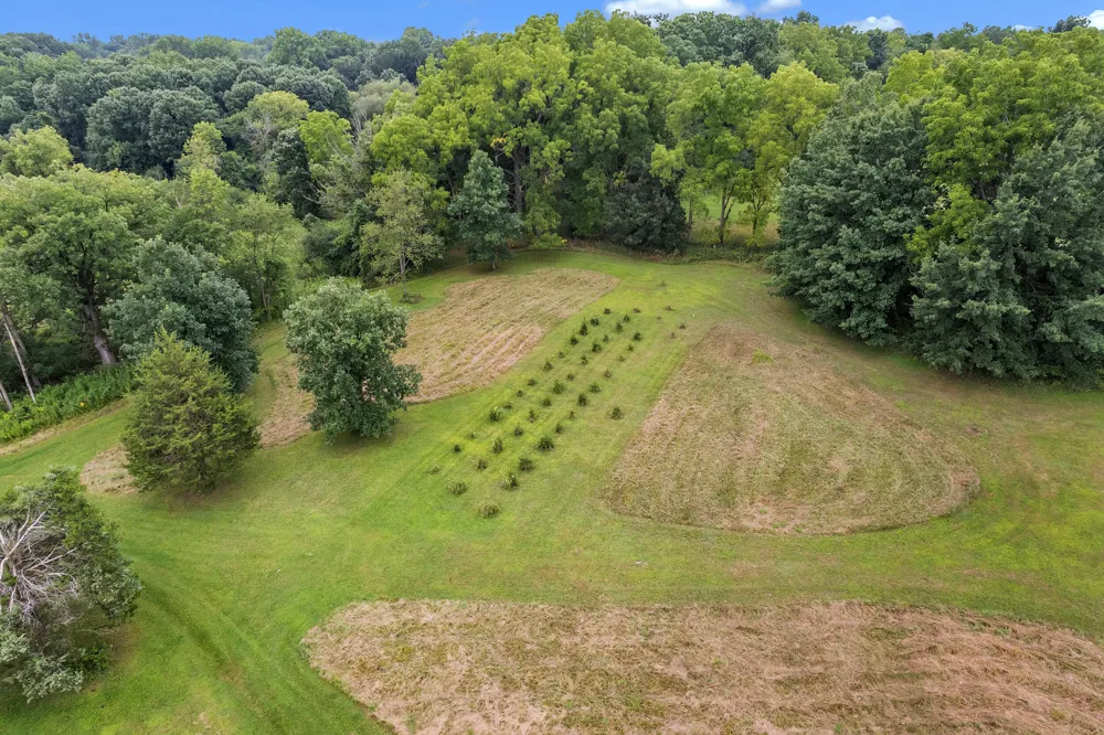 Pine Ridge Court Ann Arbor, MI 48103
