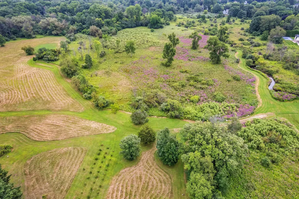 Pine Ridge Court Ann Arbor, MI 48103