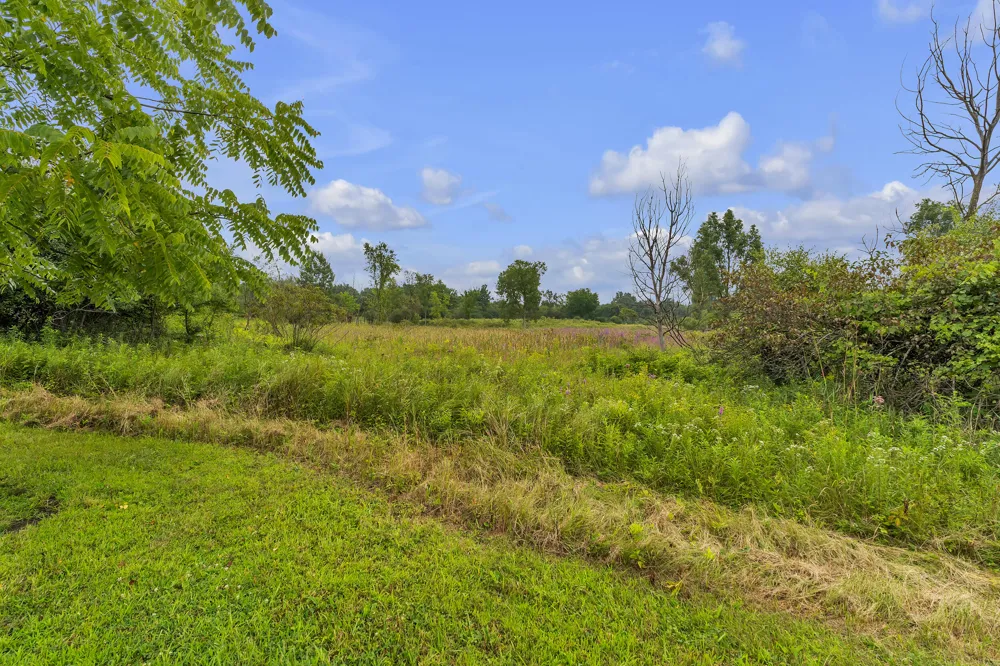 Pine Ridge Court Ann Arbor, MI 48103