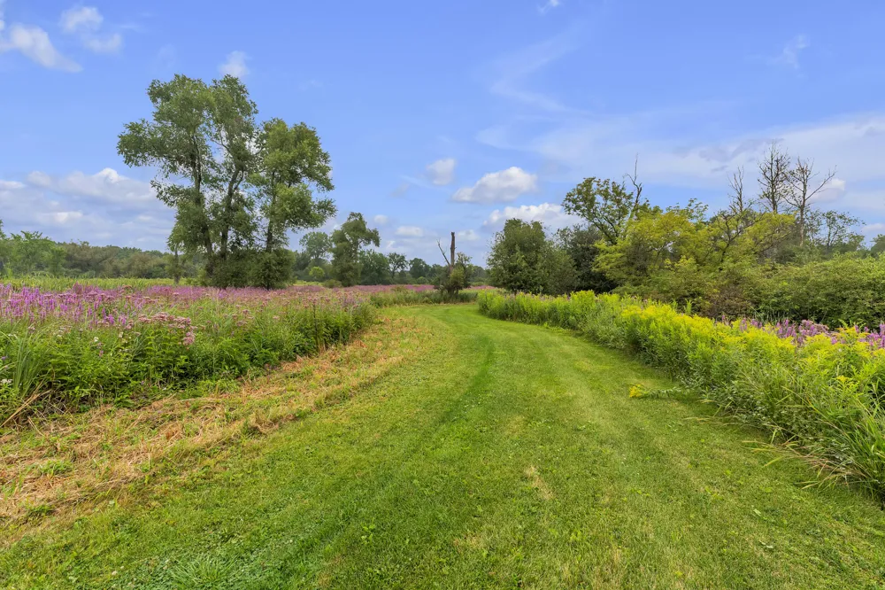 Pine Ridge Court Ann Arbor, MI 48103