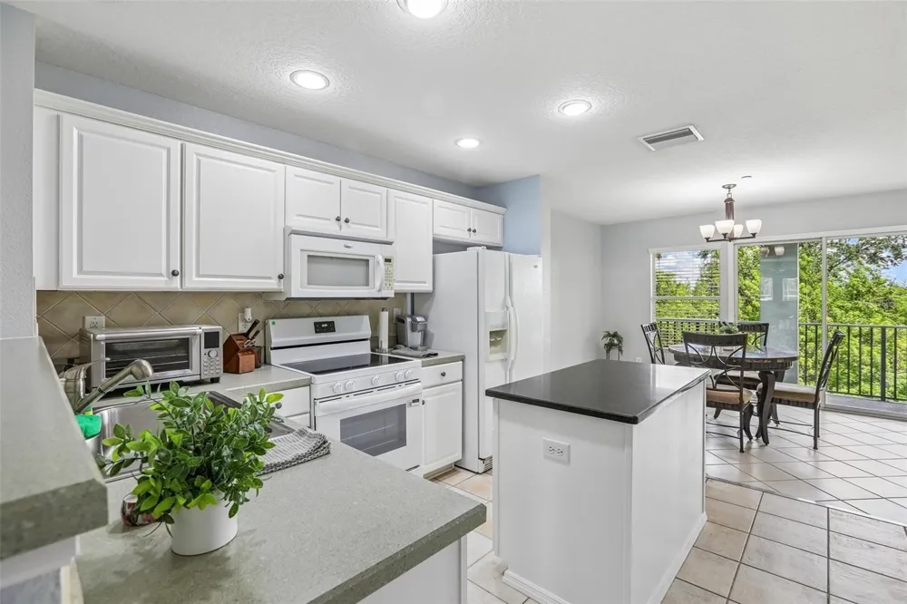 4864 TUSCAN LOON DRIVE Tampa, FL 33619