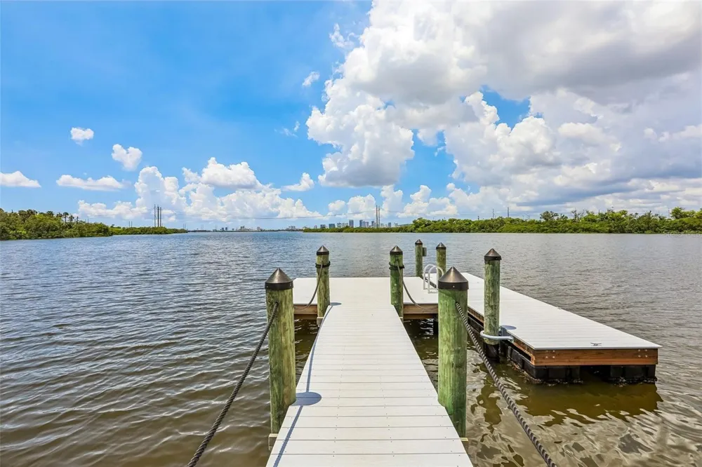 4864 TUSCAN LOON DRIVE Tampa, FL 33619