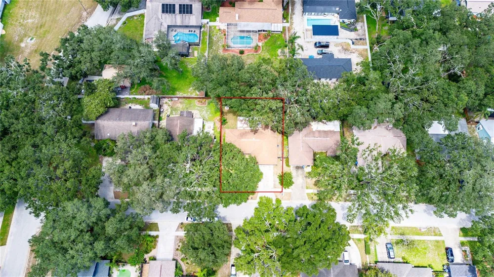 2423 FORREST CREST CIR Lutz, FL 33549