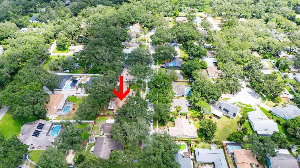 2423 FORREST CREST CIR Lutz, FL 33549
