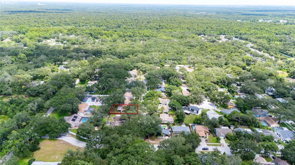 2423 FORREST CREST CIR Lutz, FL 33549
