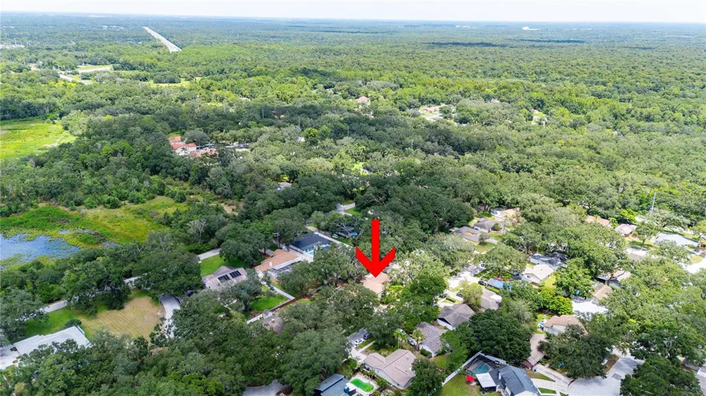 2423 FORREST CREST CIR Lutz, FL 33549