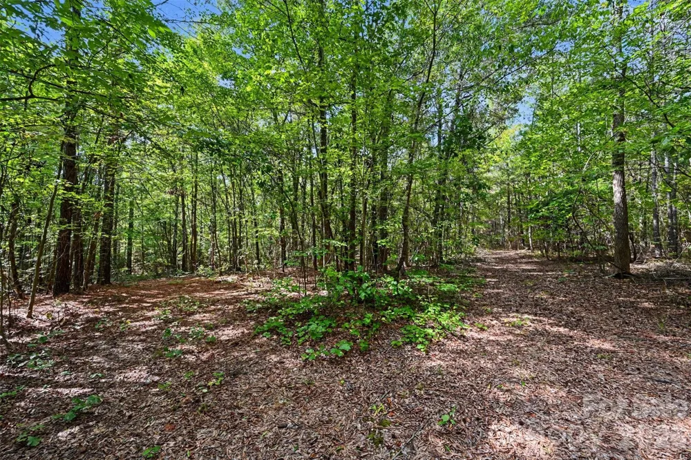 2223 Camp Creek Road Lancaster, SC 29720