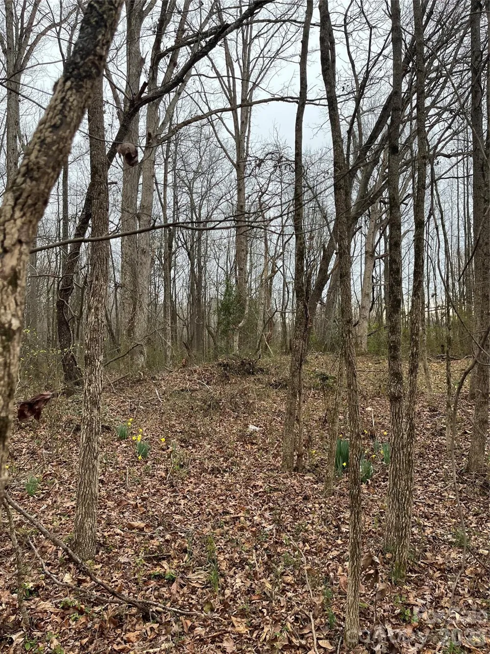 417 Davis Road Shelby, NC 28152