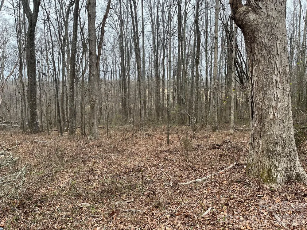 417 Davis Road Shelby, NC 28152