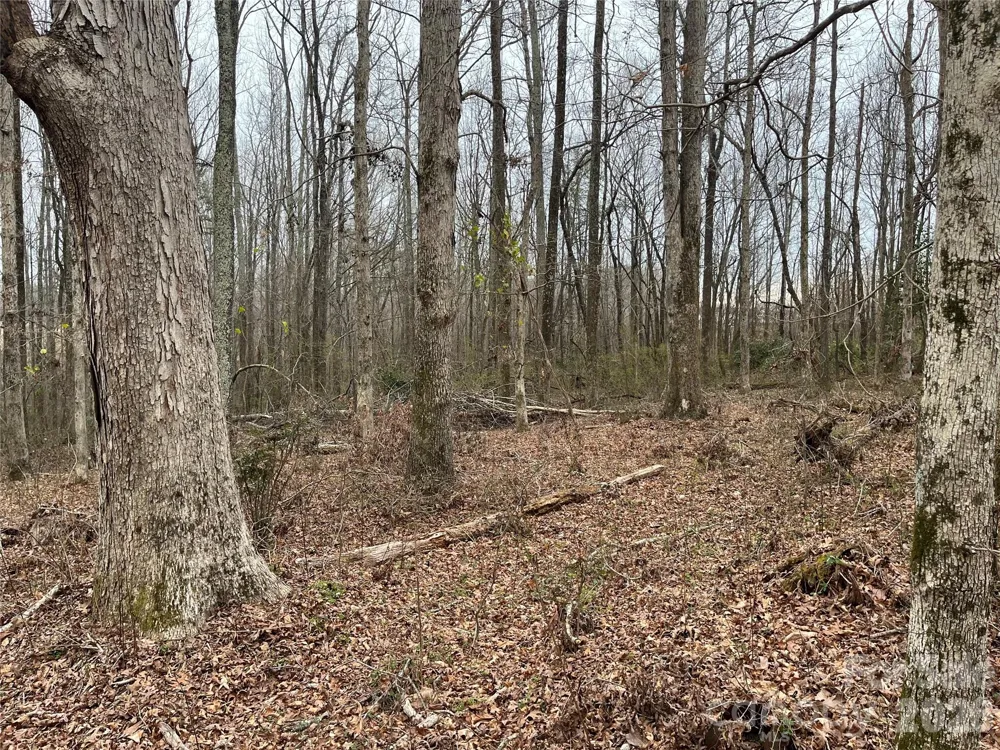 417 Davis Road Shelby, NC 28152