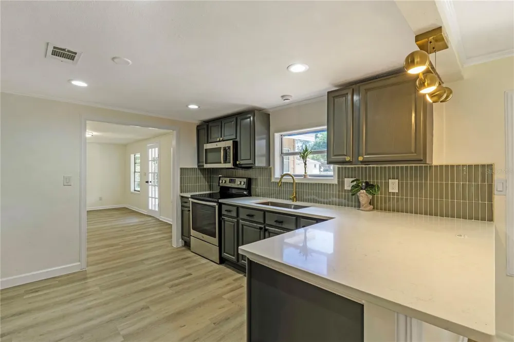 305 S ROSSITER STREET Mount Dora, FL 32757