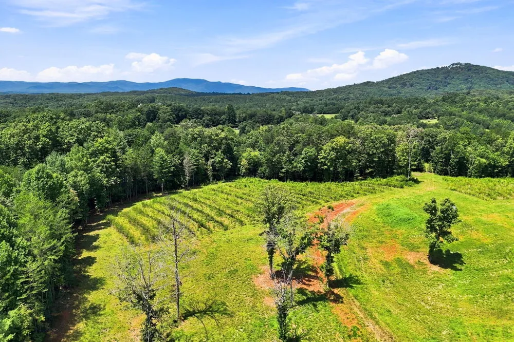 1175 Wolfcreek Road Murphy, NC 28906