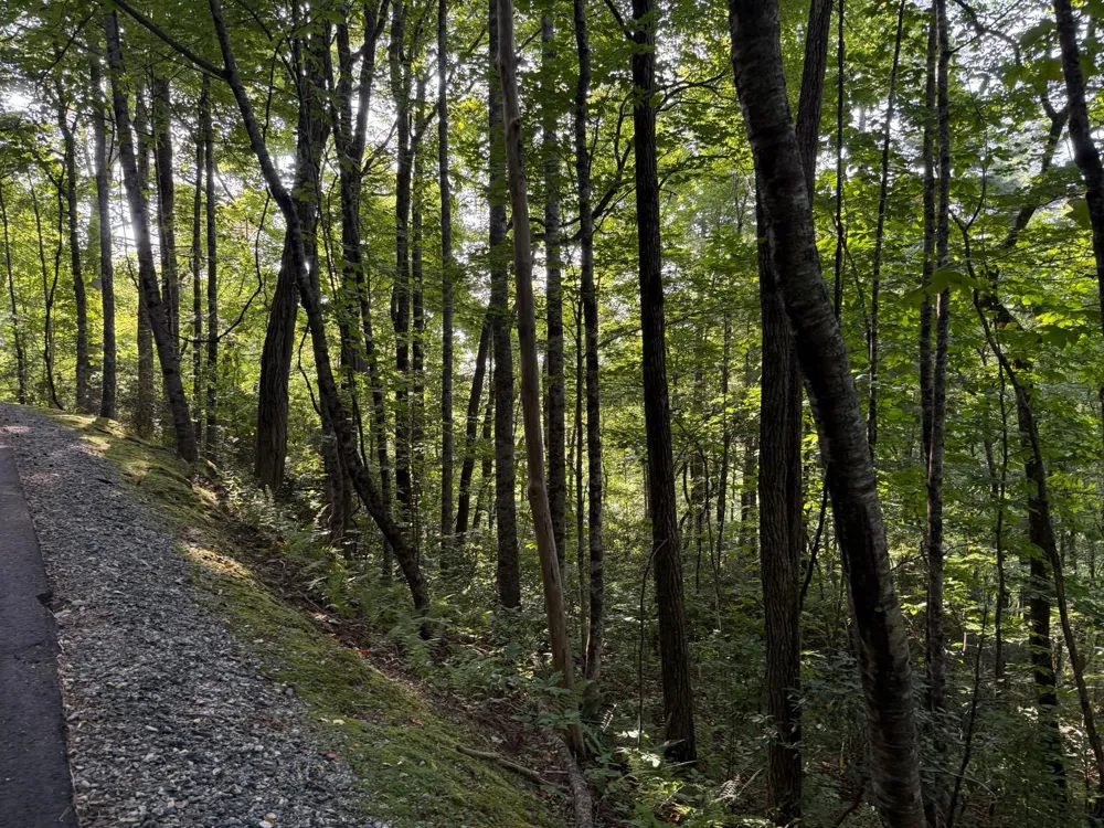 24 Wandering Ridge Glenville, NC 28736