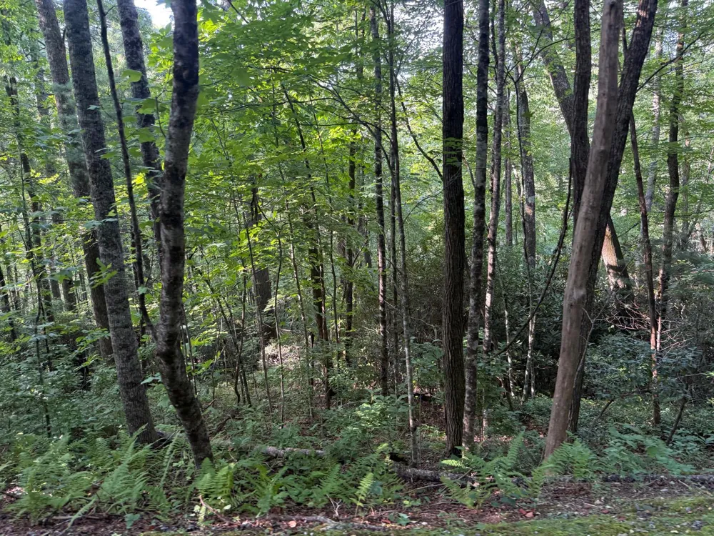 24 Wandering Ridge Glenville, NC 28736