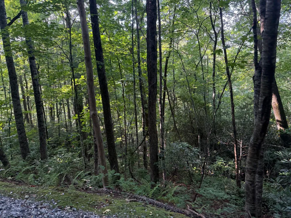 24 Wandering Ridge Glenville, NC 28736