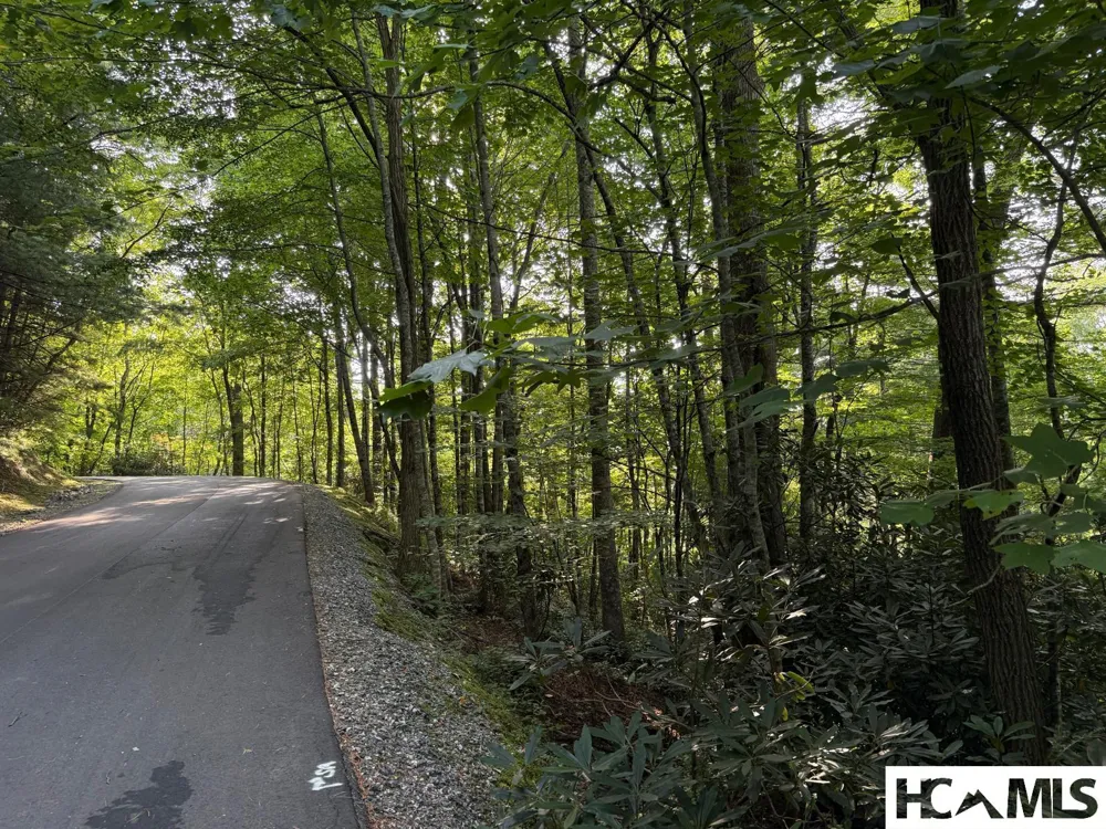 24 Wandering Ridge Glenville, NC 28736
