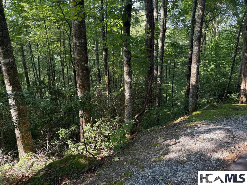 24 Wandering Ridge Glenville, NC 28736