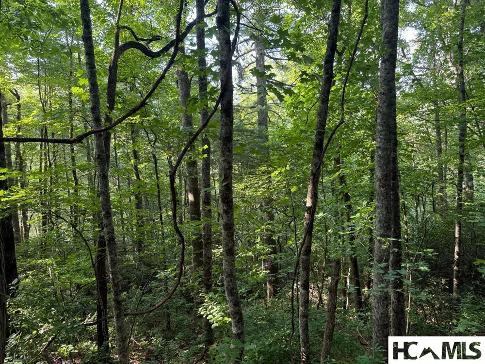 24 Wandering Ridge Glenville, NC 28736