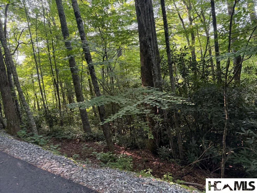 24 Wandering Ridge Glenville, NC 28736
