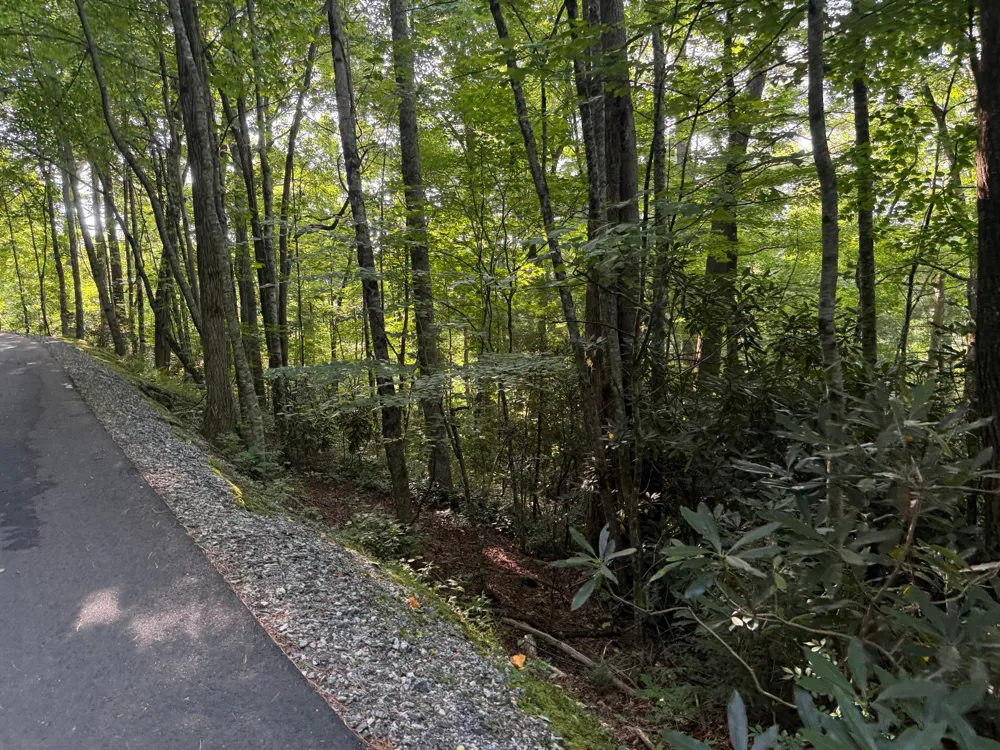 24 Wandering Ridge Glenville, NC 28736