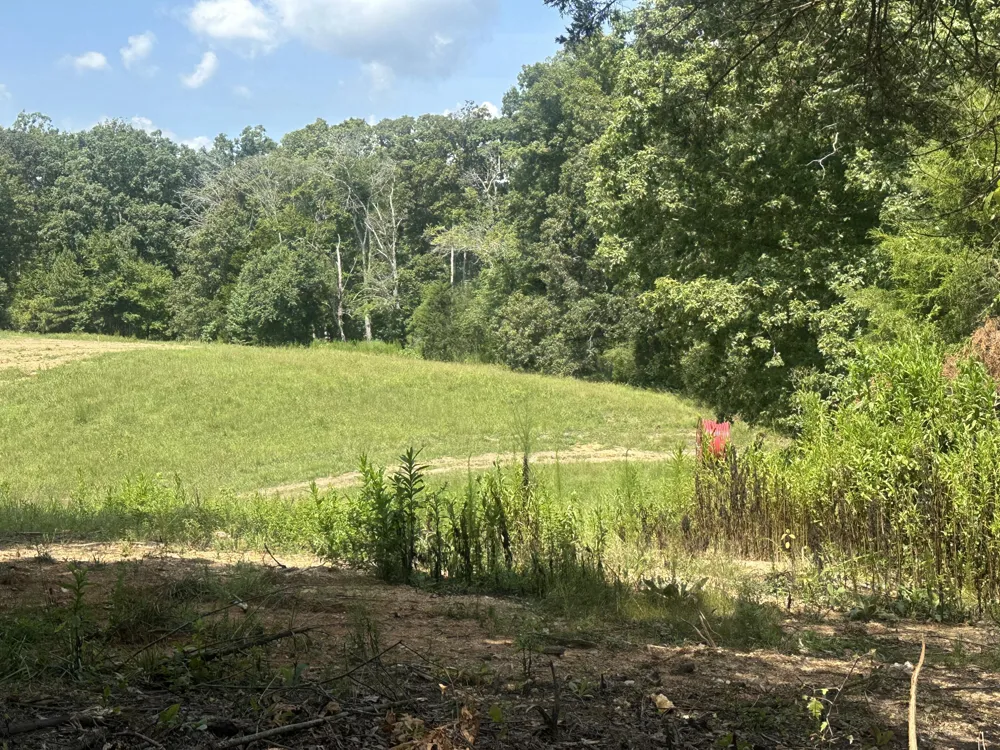 14611 Baker Road Birchwood, TN 37308