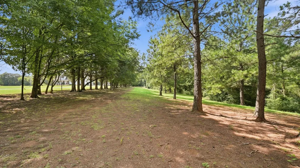 6979 Mouse Creek Road NW Cleveland, TN 37312
