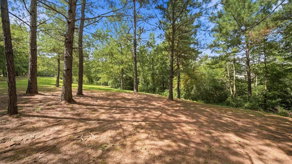 6979 Mouse Creek Road NW Cleveland, TN 37312