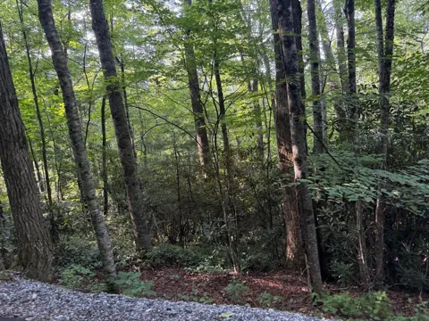 WANDERING RDG
