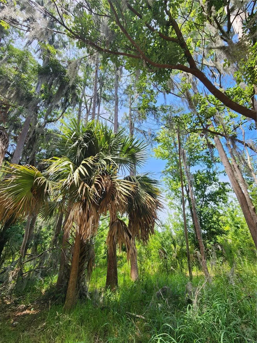 ARROWHEAD BOULEVARD Winter Garden, FL 34787