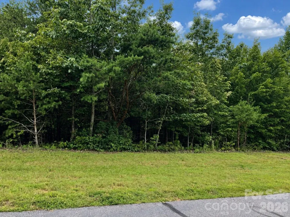 1211 Mountain Vista Drive Nebo, NC 28761