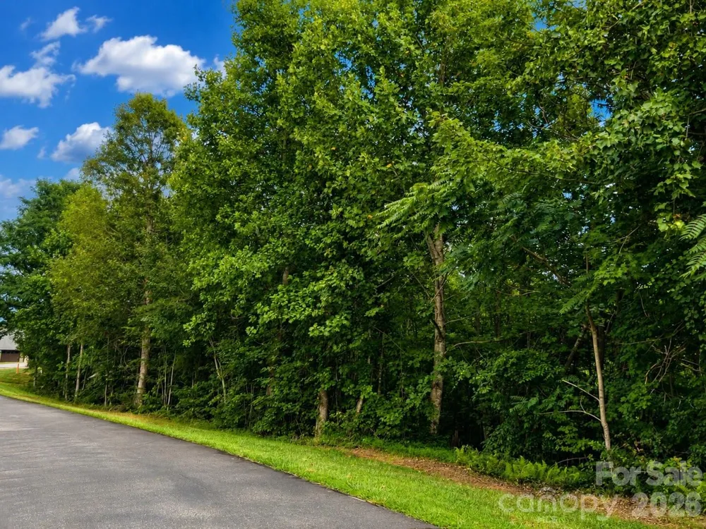 1211 Mountain Vista Drive Nebo, NC 28761