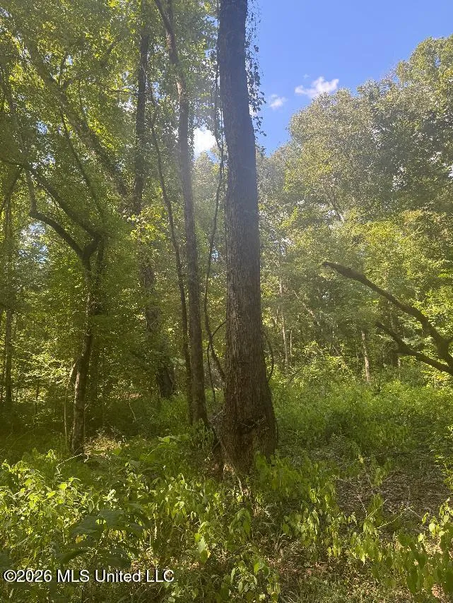00 Nelson Corner Road Roxie, MS 39661