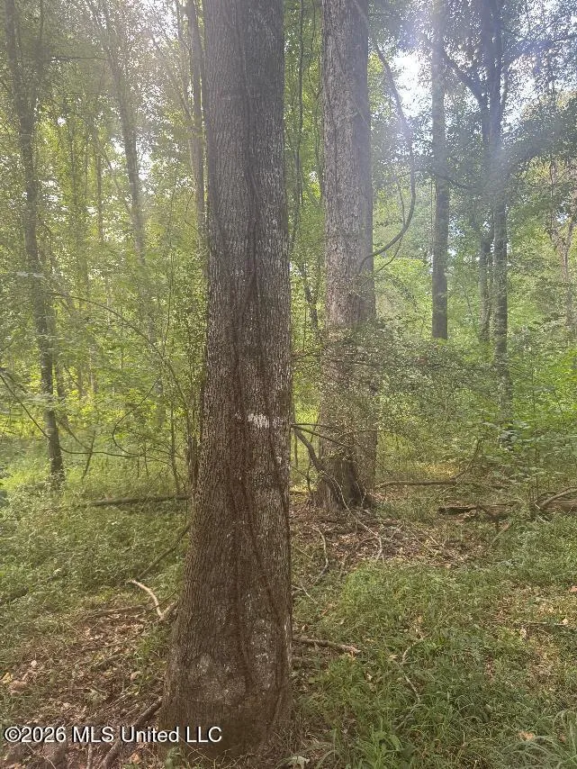 00 Nelson Corner Road Roxie, MS 39661