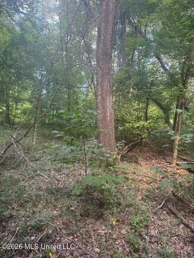 00 Nelson Corner Road Roxie, MS 39661